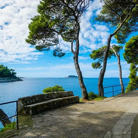 Charming Stone House In Old Town
