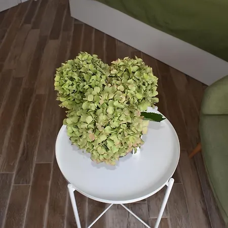 شقة Charming Stone House In Old Town تْسافتات