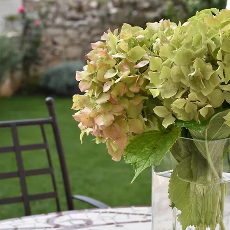 アパート Charming Stone House In Old Town ツァヴタット