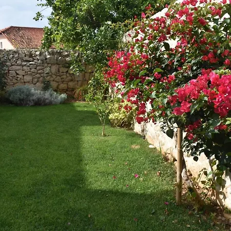 アパート Charming Stone House In Old Town ツァヴタット