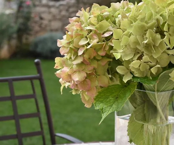 Apartment Charming Stone House In Old Town Cavtat