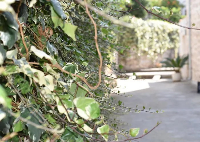 Apartment Charming Stone House In Old Town Cavtat